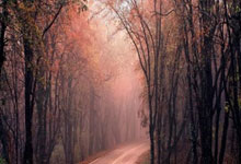 法兰克福队主场实力爆发积分攀升