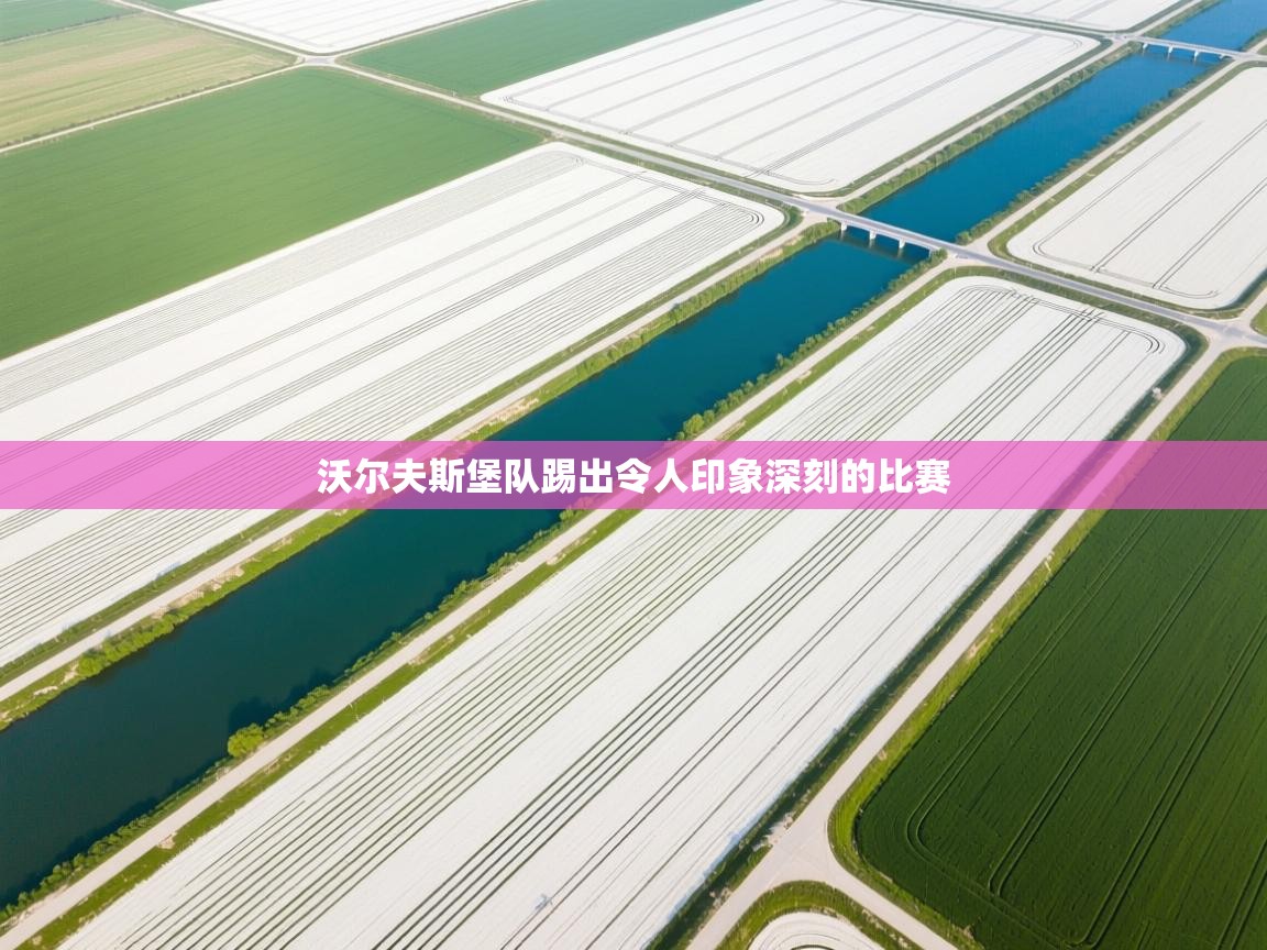 沃尔夫斯堡队踢出令人印象深刻的比赛  第2张